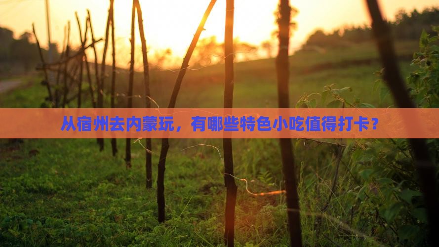 宿州到内蒙旅游小吃
