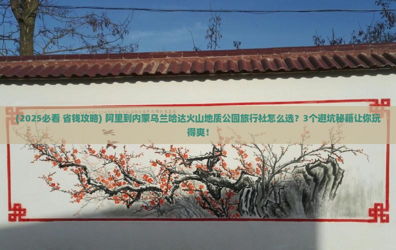 阿里到内蒙乌兰哈达火山地质公园旅行社