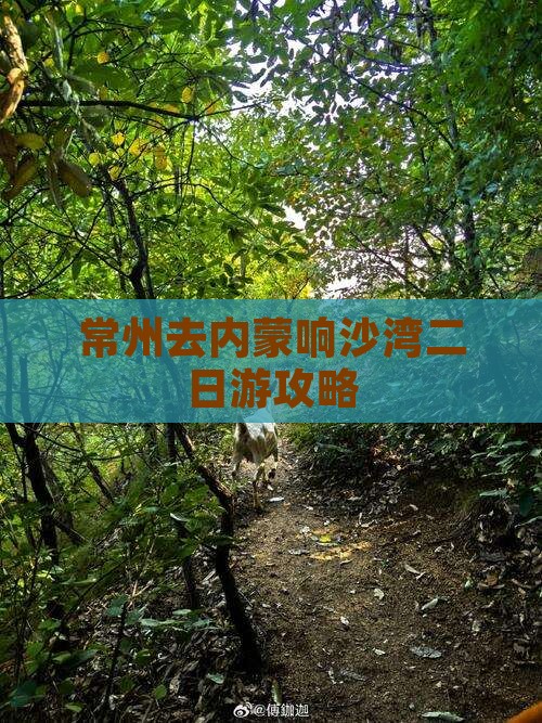 常州去内蒙响沙湾二日游