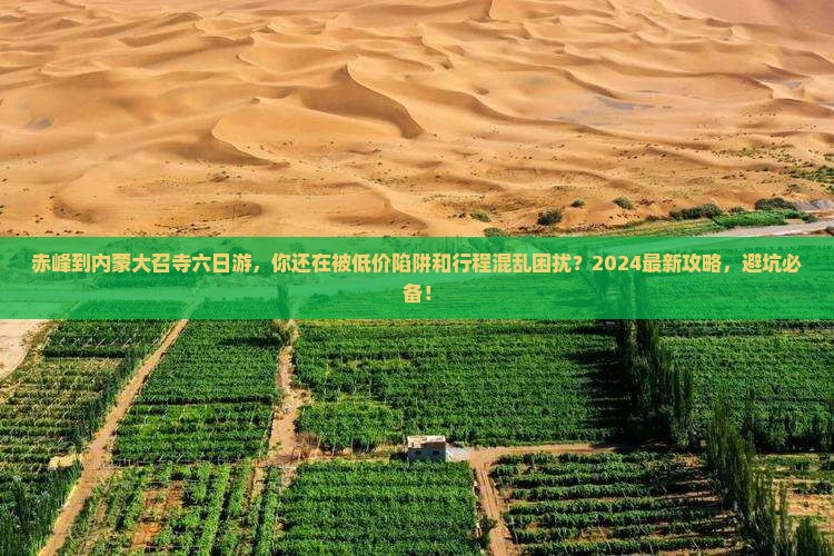 赤峰到内蒙大召寺六日游