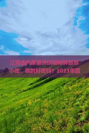 辽阳去内蒙额济纳胡杨林旅游小吃
