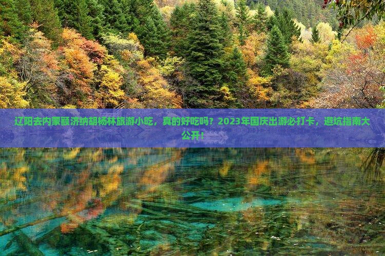 辽阳去内蒙额济纳胡杨林旅游小吃