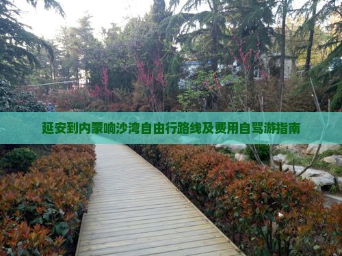 延安到内蒙响沙湾自由行 延安到内蒙响沙湾自由行