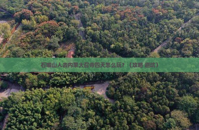 石嘴山去内蒙大召寺四日游