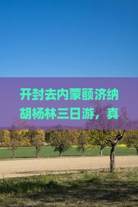 开封去内蒙额济纳胡杨林三日游