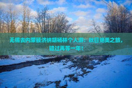 无锡去内蒙额济纳胡杨林个人游
