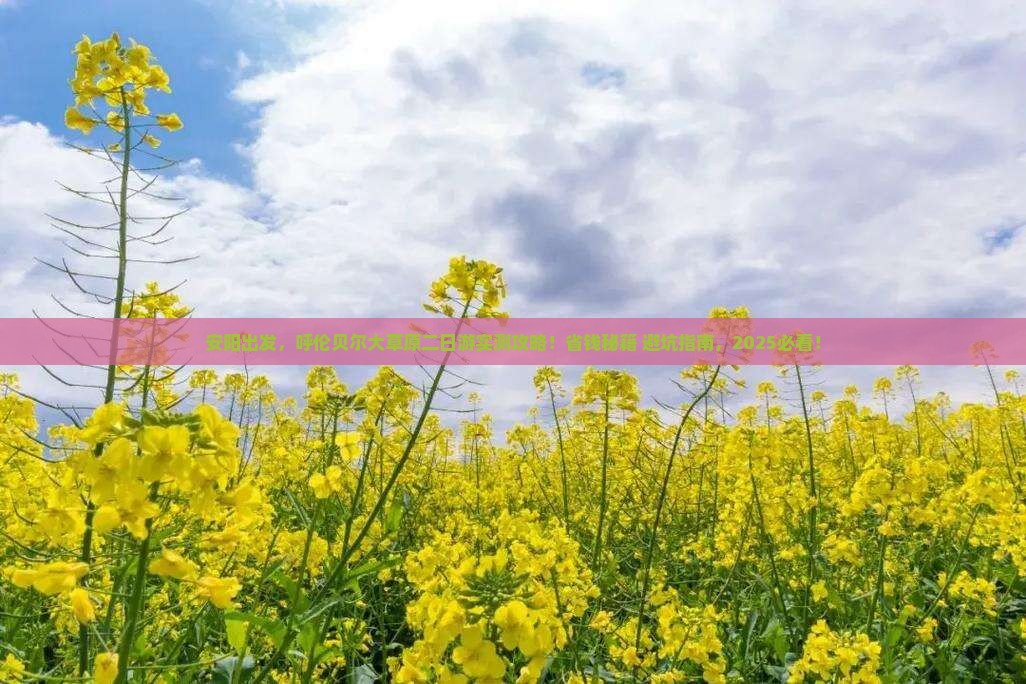 安阳到内蒙呼伦贝尔大草原二日游