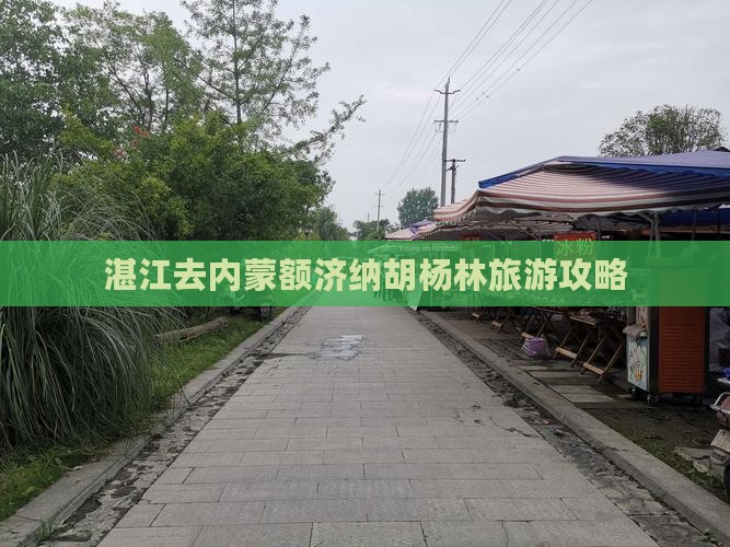 湛江去内蒙额济纳胡杨林攻略