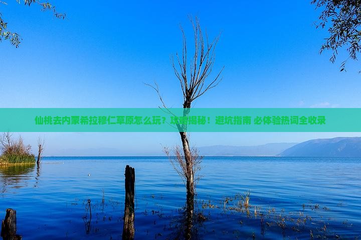 仙桃去内蒙希拉穆仁草原攻略