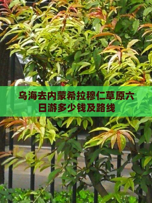 乌海去内蒙希拉穆仁草原六日游