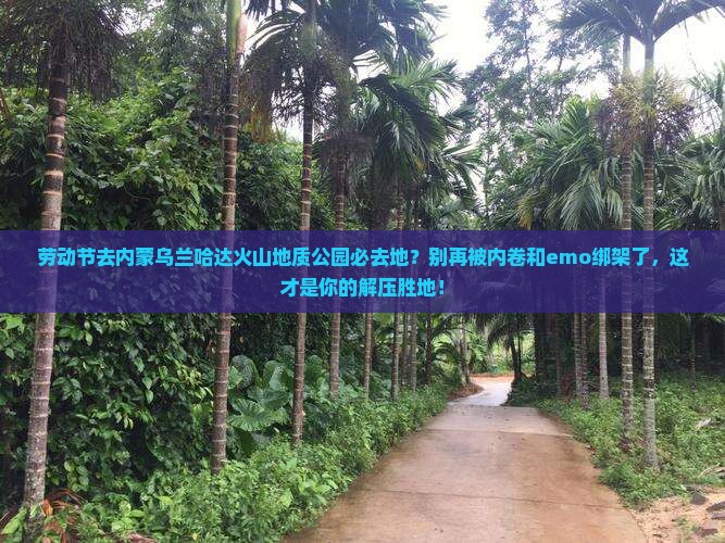 劳动节去内蒙乌兰哈达火山地质公园必去地