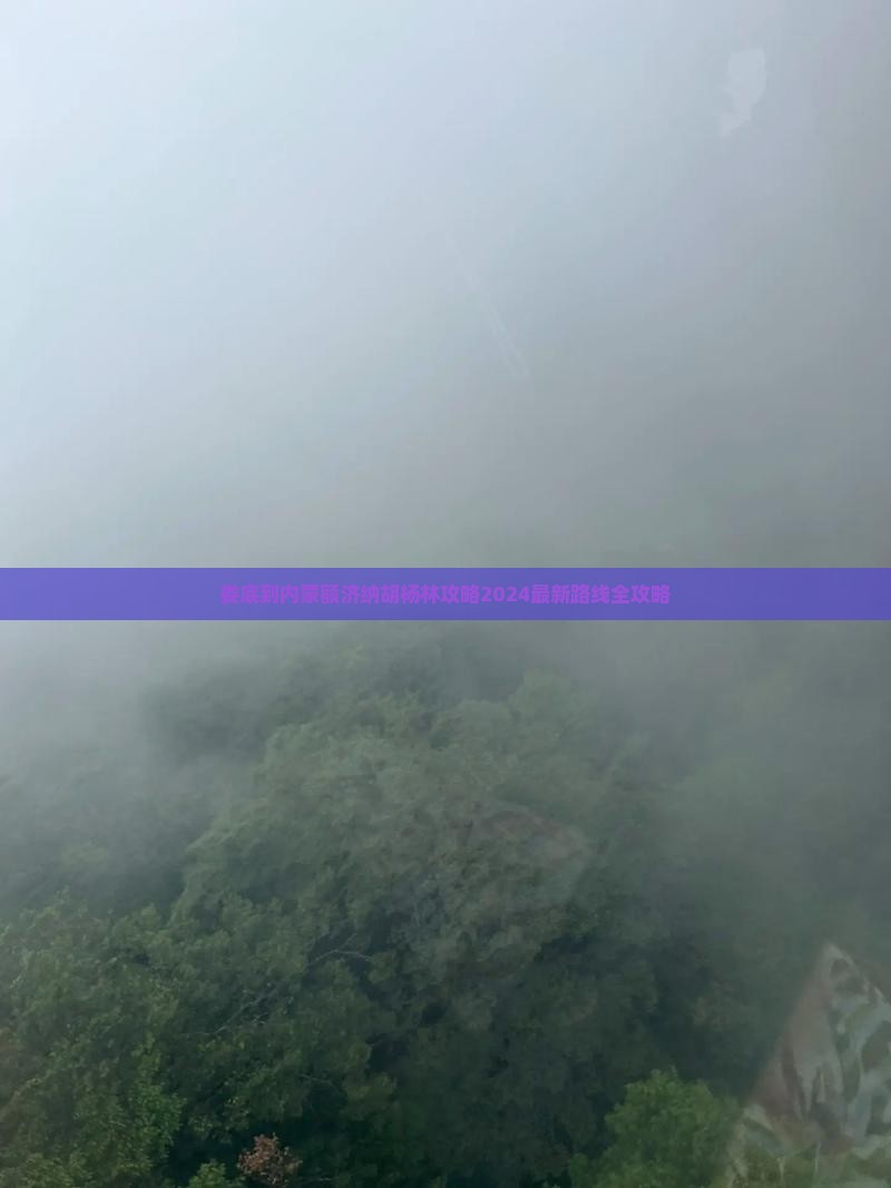 娄底到内蒙额济纳胡杨林攻略