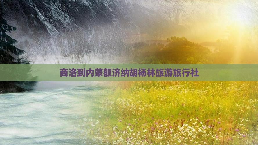商洛到内蒙额济纳胡杨林旅行社