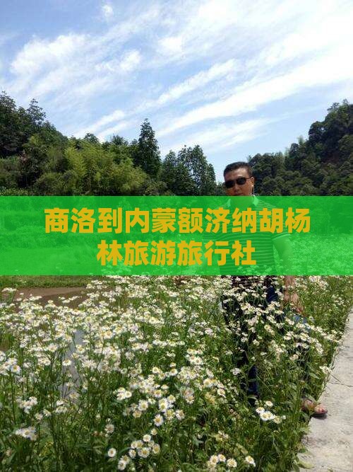 商洛到内蒙额济纳胡杨林旅行社