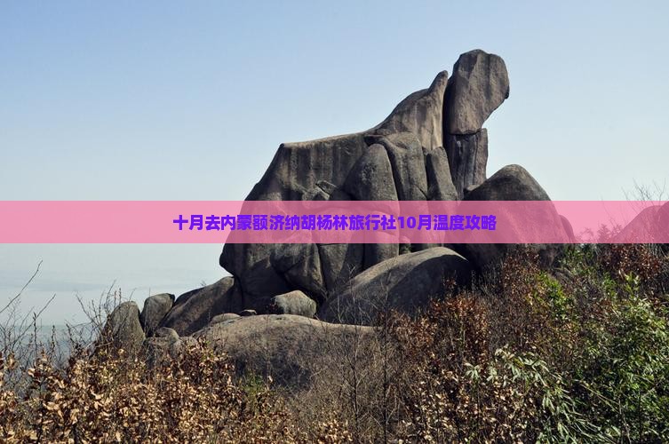 十月去内蒙额济纳胡杨林旅行社