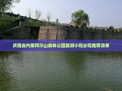 庆阳去内蒙阿尔山国家森林公园旅游小吃