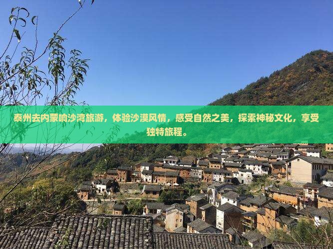 泰州去内蒙响沙湾旅游