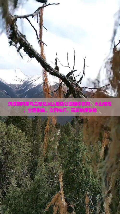济源到内蒙乌兰哈达火山地质公园团体旅游