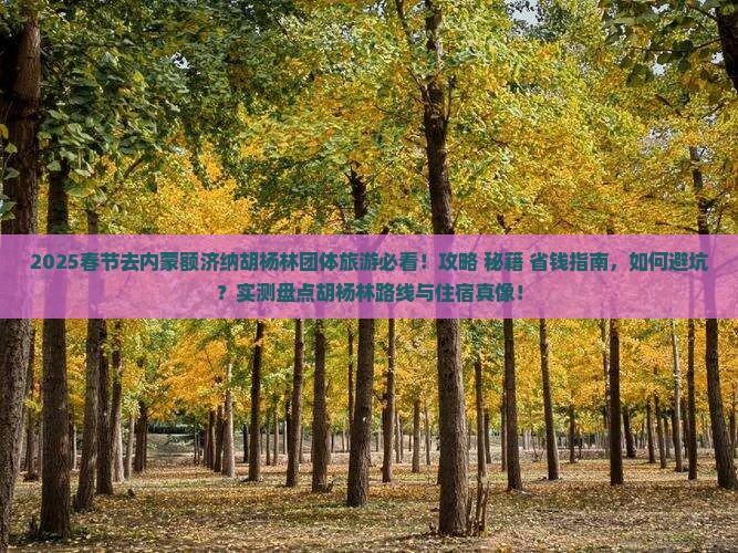 春节到内蒙额济纳胡杨林团体旅游