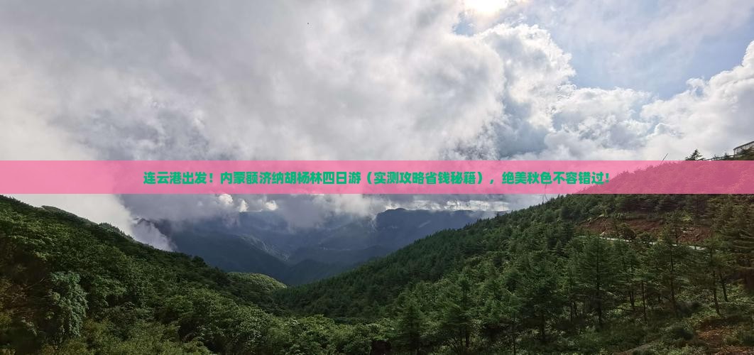 连云港去内蒙额济纳胡杨林四日游