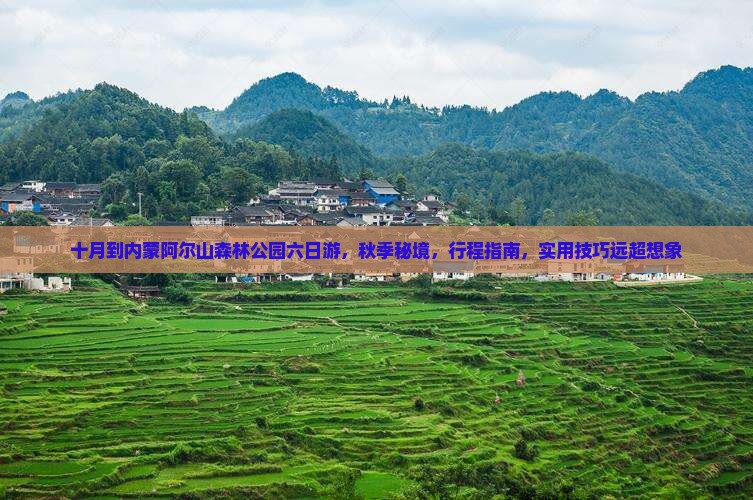 十月到内蒙阿尔山国家森林公园六日游