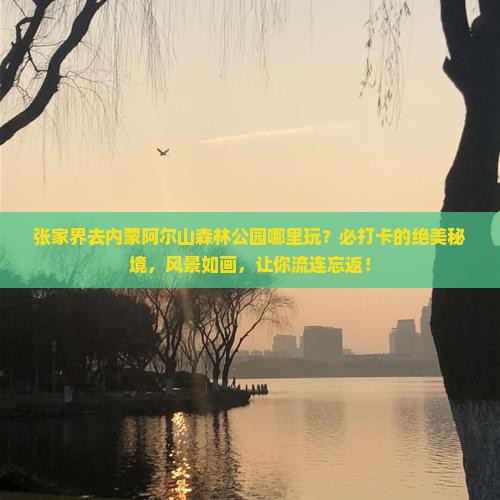 张家界去内蒙阿尔山国家森林公园哪里玩