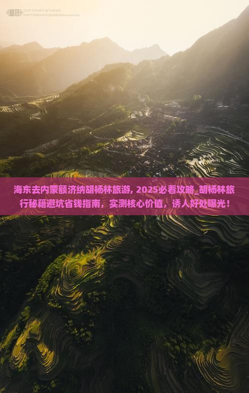 海东去内蒙额济纳胡杨林旅游 海东去内蒙额济纳胡杨林旅游