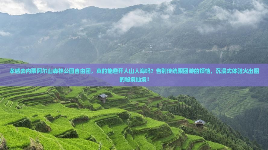 孝感去内蒙阿尔山国家森林公园自由团