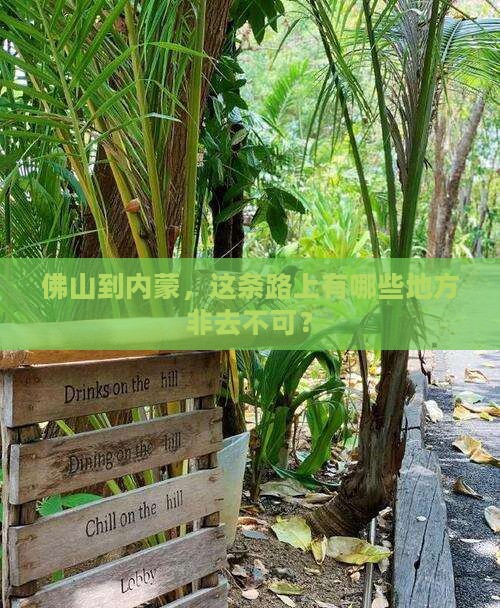 佛山到内蒙必去地