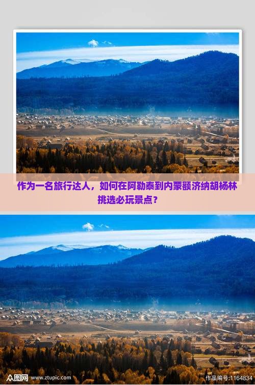 阿勒泰到内蒙额济纳胡杨林哪里玩
