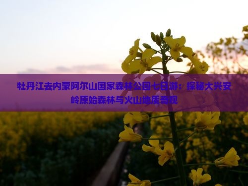 牡丹江去内蒙阿尔山国家森林公园七日游