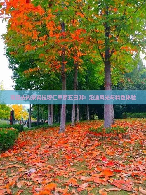 莆田去内蒙希拉穆仁草原五日游