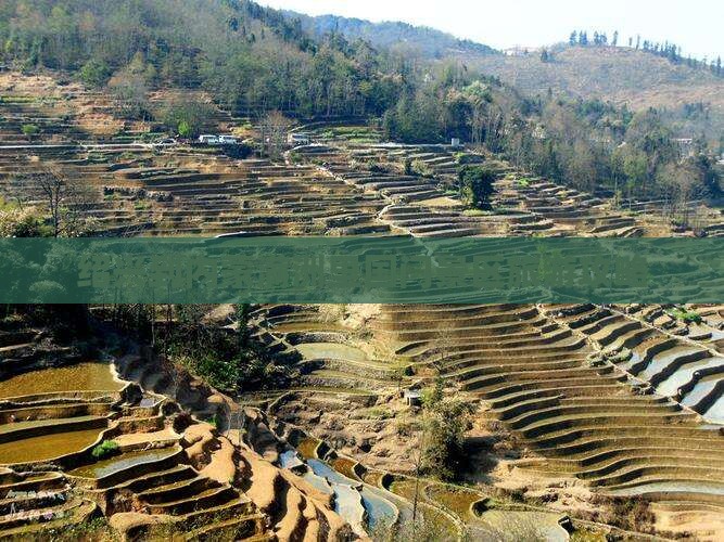 绍兴到内蒙满洲里国门景区个人游
