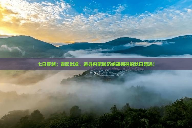 霍邱到内蒙额济纳胡杨林七日游