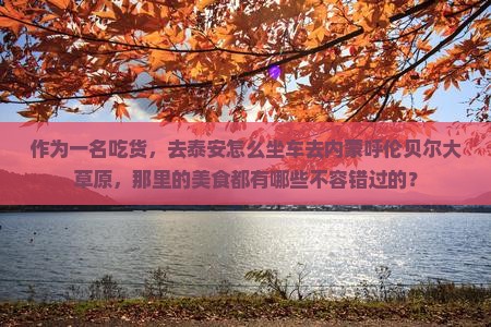 泰安去内蒙呼伦贝尔大草原旅游小吃