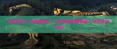 张北去内蒙五当召自由团