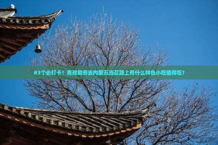 克孜勒苏去内蒙五当召旅游小吃