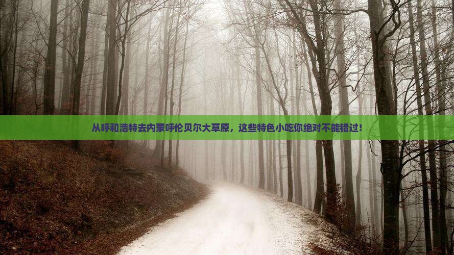 呼和浩特到内蒙呼伦贝尔大草原旅游小吃