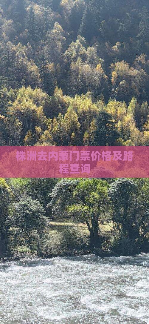 株洲去内蒙门票