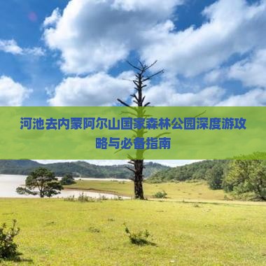 河池去内蒙阿尔山国家森林公园攻略