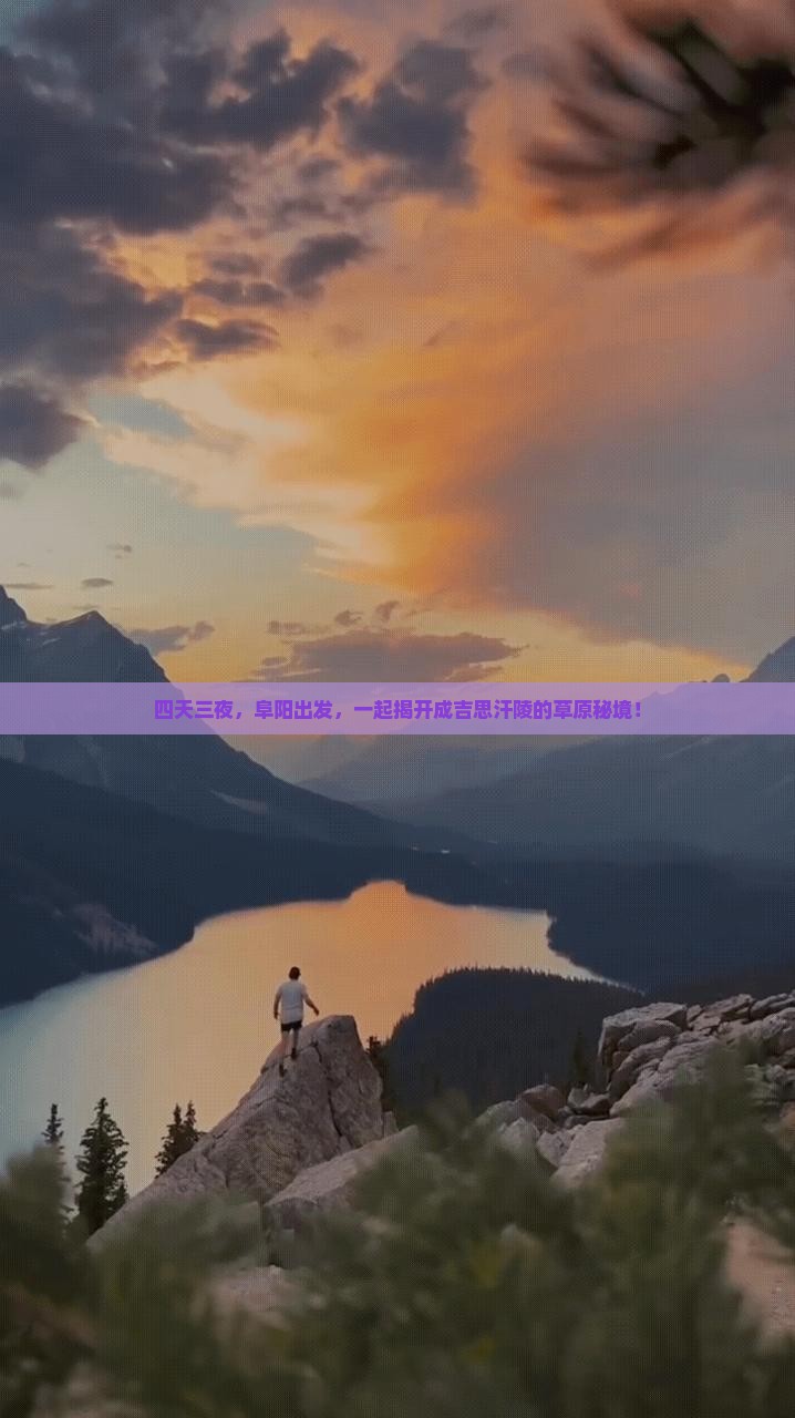 阜阳去内蒙成吉思汗陵四日游