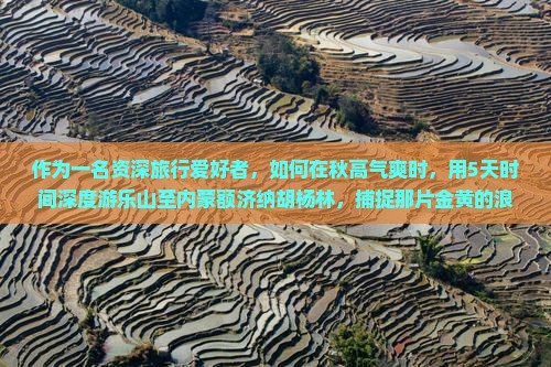 乐山去内蒙额济纳胡杨林必去地