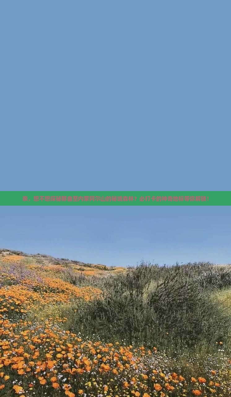 那曲到内蒙阿尔山国家森林公园必去地
