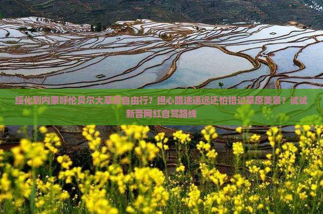绥化到内蒙呼伦贝尔大草原自由行