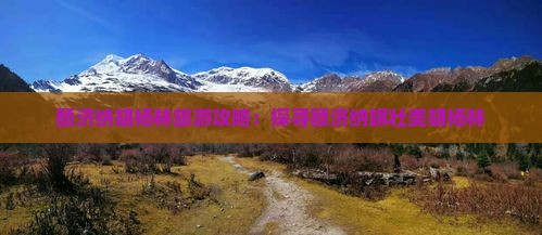 蚌埠到内蒙额济纳胡杨林哪里玩