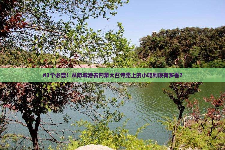 防城港到内蒙大召寺旅游小吃