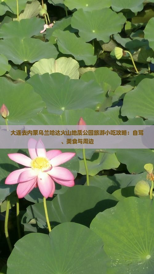 大连去内蒙乌兰哈达火山地质公园旅游小吃