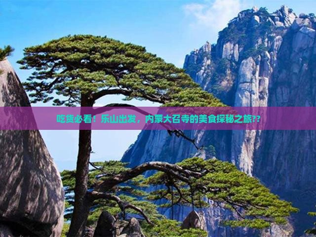 乐山去内蒙大召寺旅游小吃