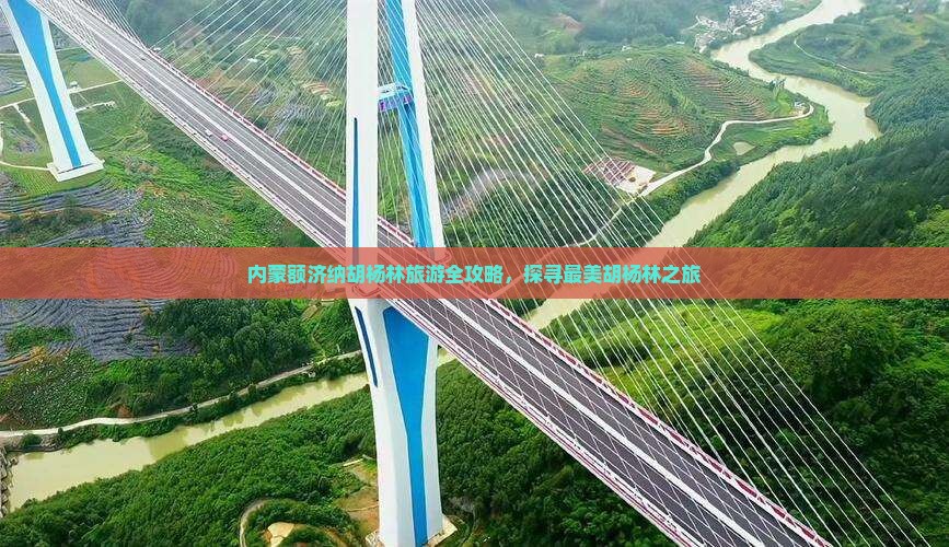 湘潭到内蒙额济纳胡杨林旅游