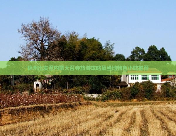 锦州去内蒙大召寺旅游小吃